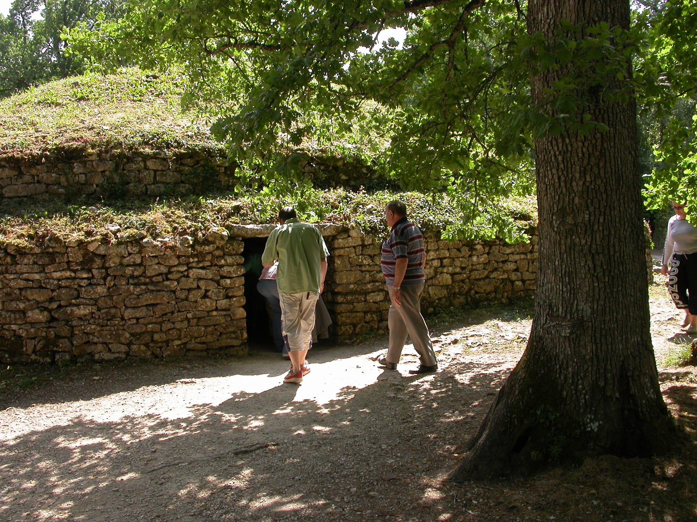 Tumulus de Bougon la Nécropole